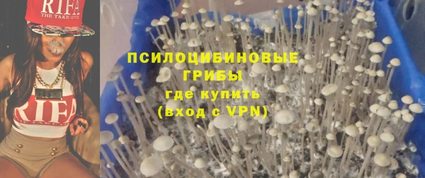 стафф Белокуриха