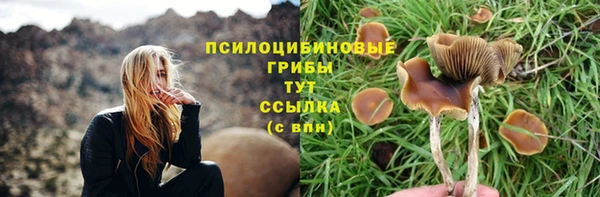 амф Беломорск