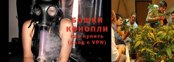 стафф Белокуриха