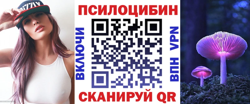 Псилоцибиновые грибы Psilocybe  Волчанск 