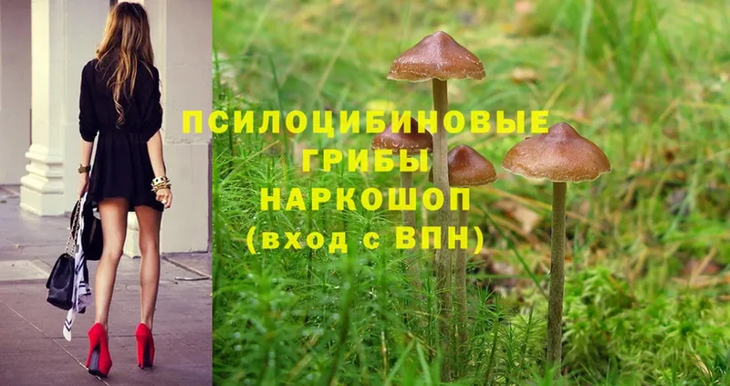 Галлюциногенные грибы Magic Shrooms  дарк нет какой сайт  Волчанск  продажа наркотиков 